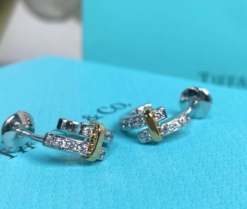 Tiffany Earrings SmoothTexture 252563