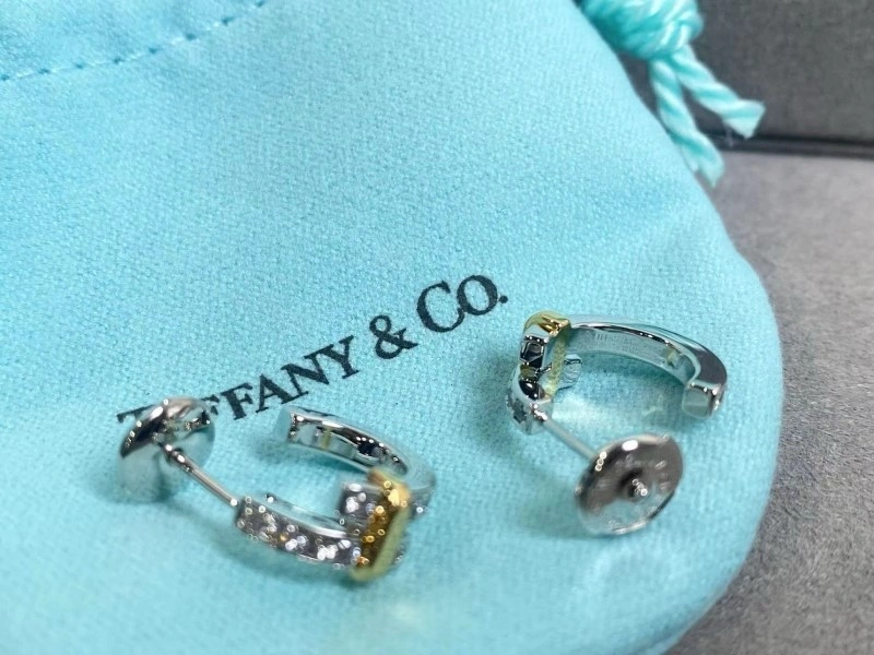 Tiffany Earrings SmoothTexture 252563
