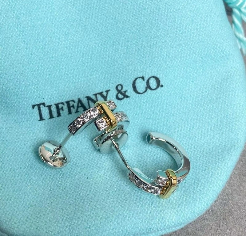 Tiffany Earrings SmoothTexture 252563