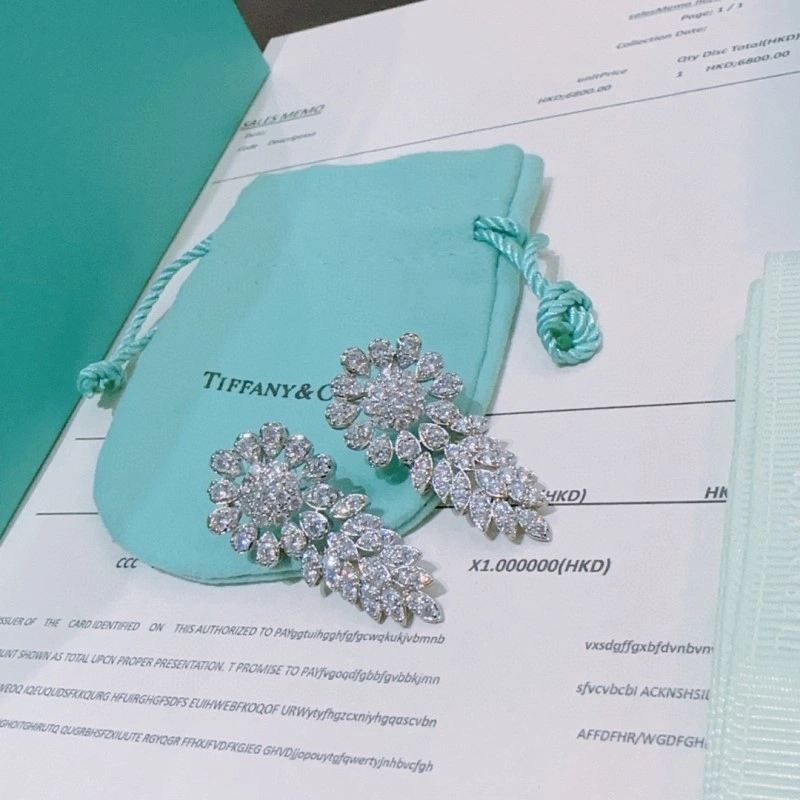 Tiffany Earrings Snug 252370
