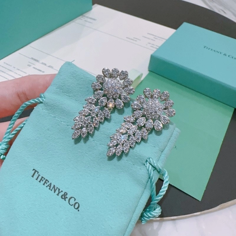 Tiffany Earrings Snug 252370