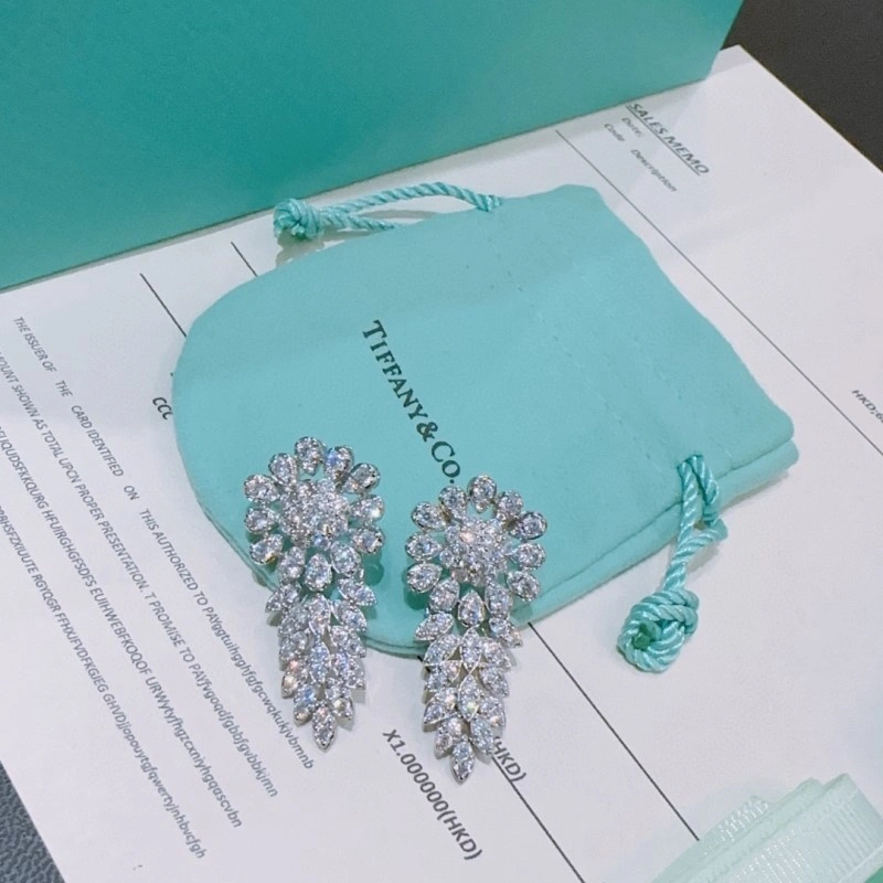 Tiffany Earrings Snug 252370