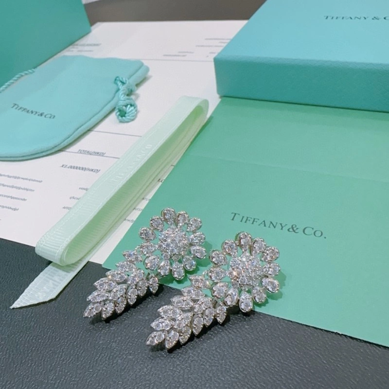 Tiffany Earrings Snug 252370