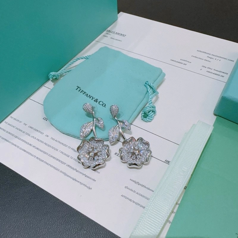 Supportive Tiffany Earrings 252366