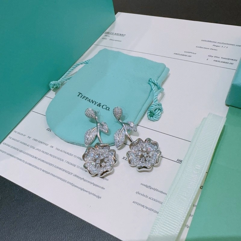 Supportive Tiffany Earrings 252366
