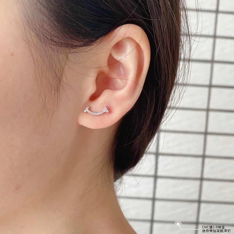 Popular Tiffany Earrings 252346