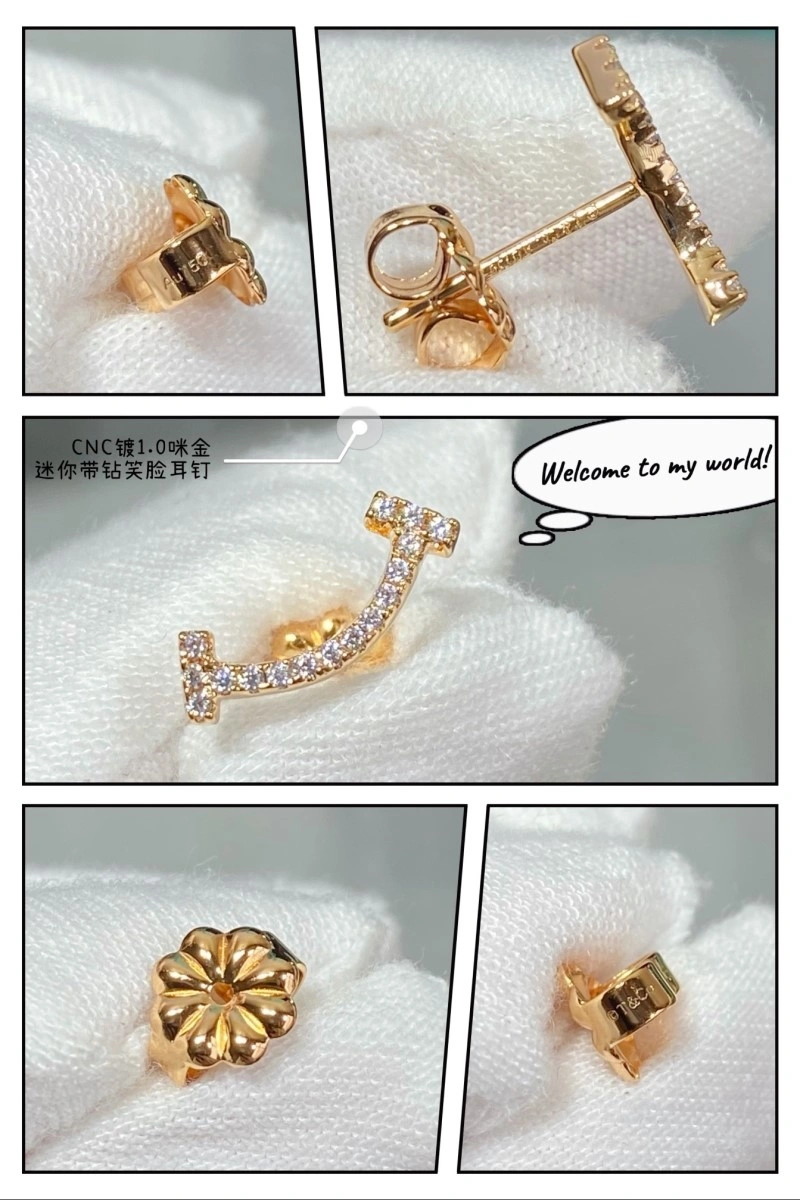 Popular Tiffany Earrings 252346