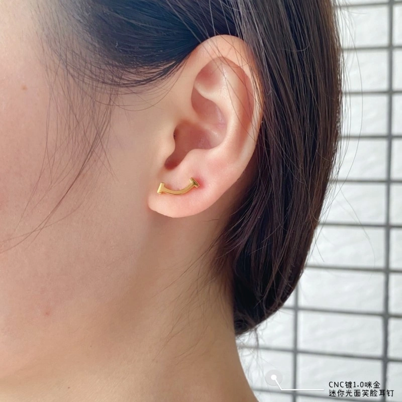 Tiffany Earrings Bold 252348