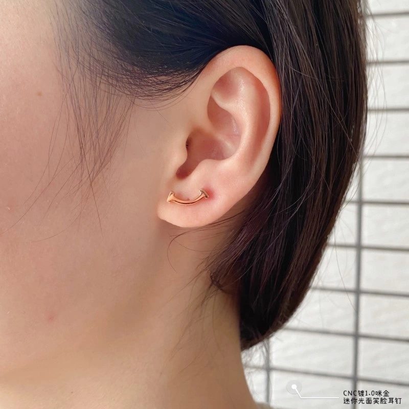 Tiffany Earrings Bold 252348