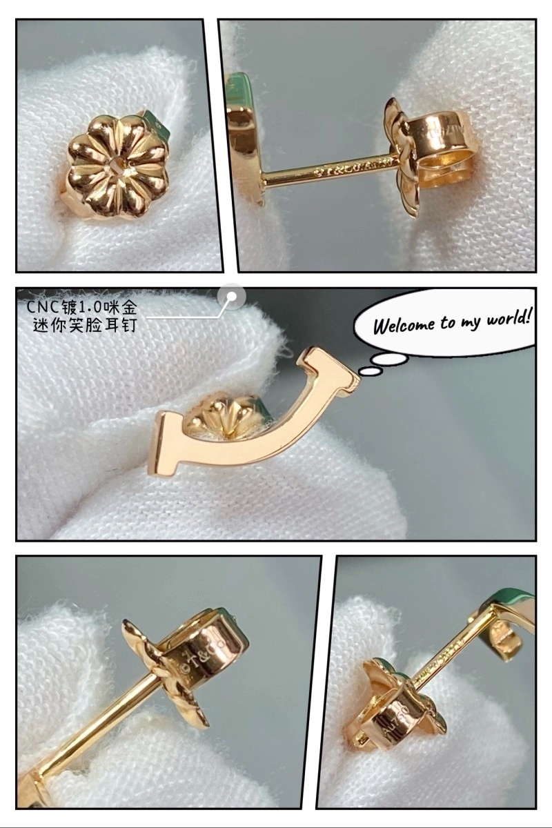 Tiffany Earrings Bold 252348