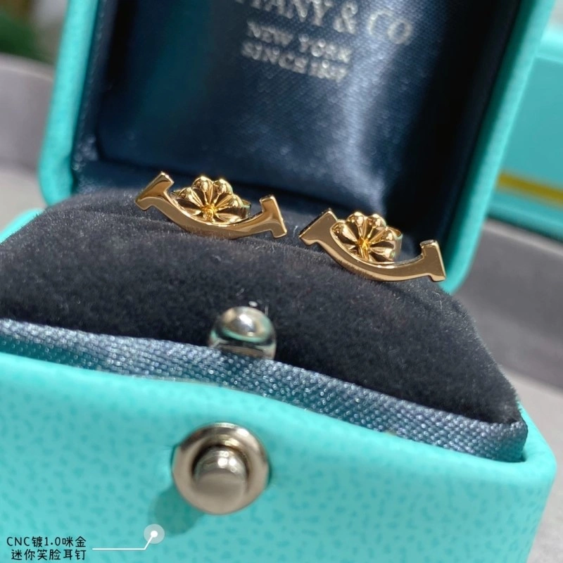 Tiffany Earrings Bold 252348