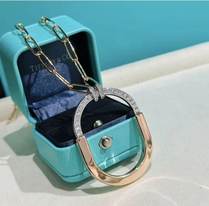 Stylish Tiffany Necklaces 253963