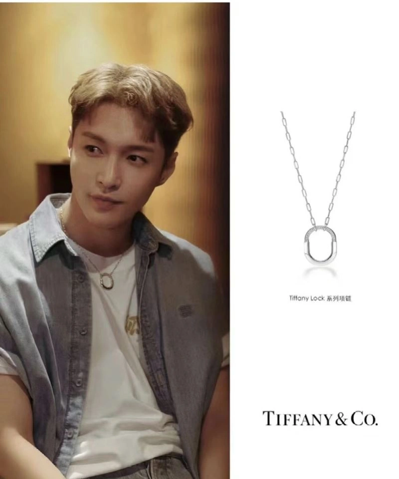 Stylish Tiffany Necklaces 253963