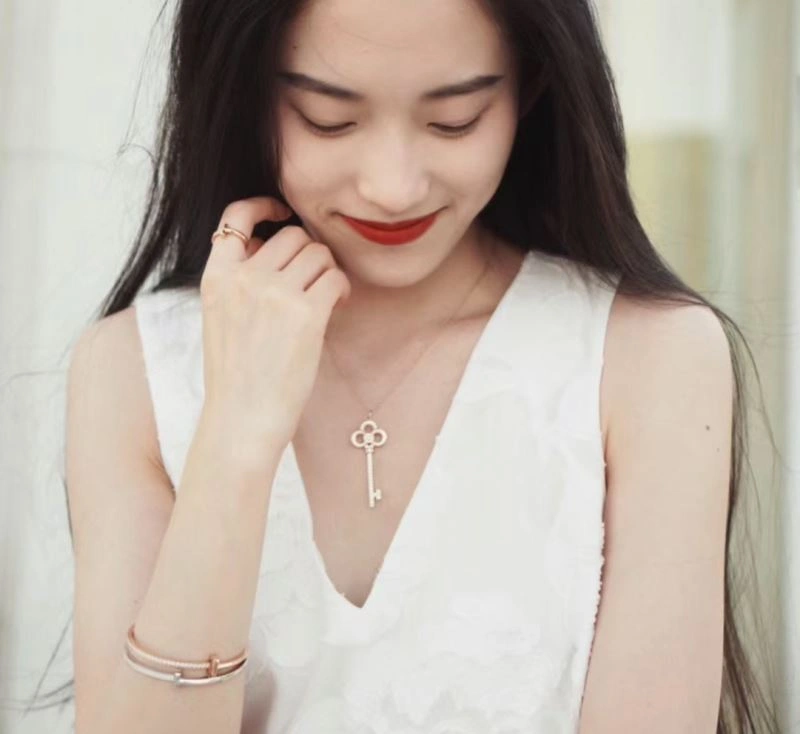 Tiffany Necklaces EasyCare 253745