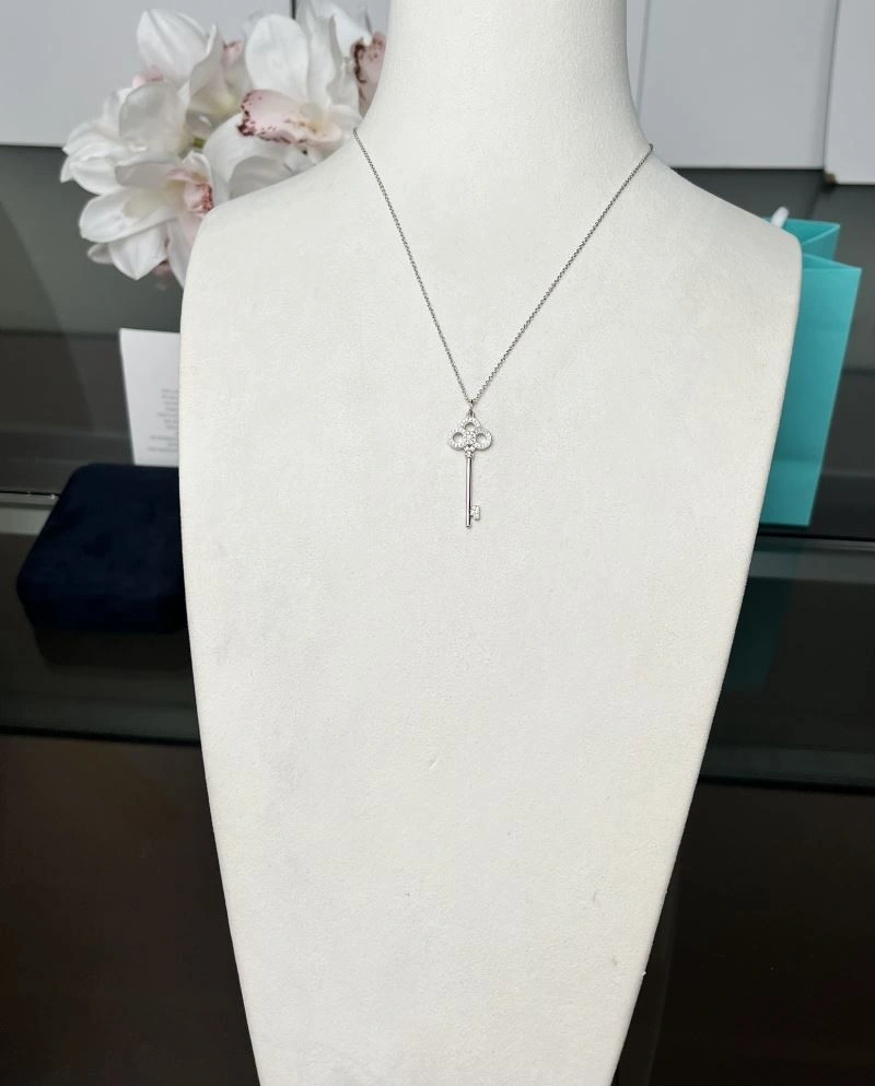 Premium Tiffany Necklaces 253732