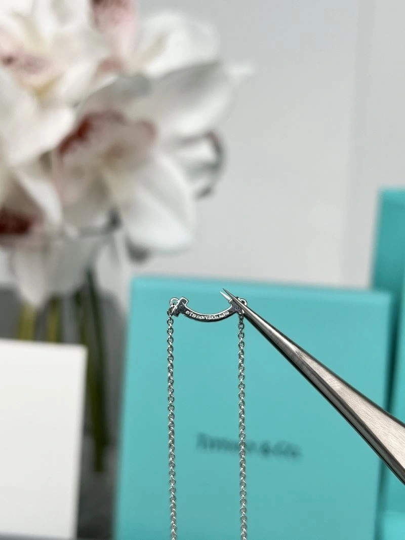 GoAnywhere Tiffany Necklaces 253710