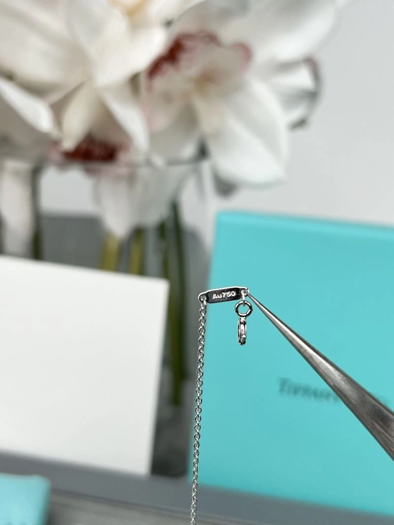 GoAnywhere Tiffany Necklaces 253710