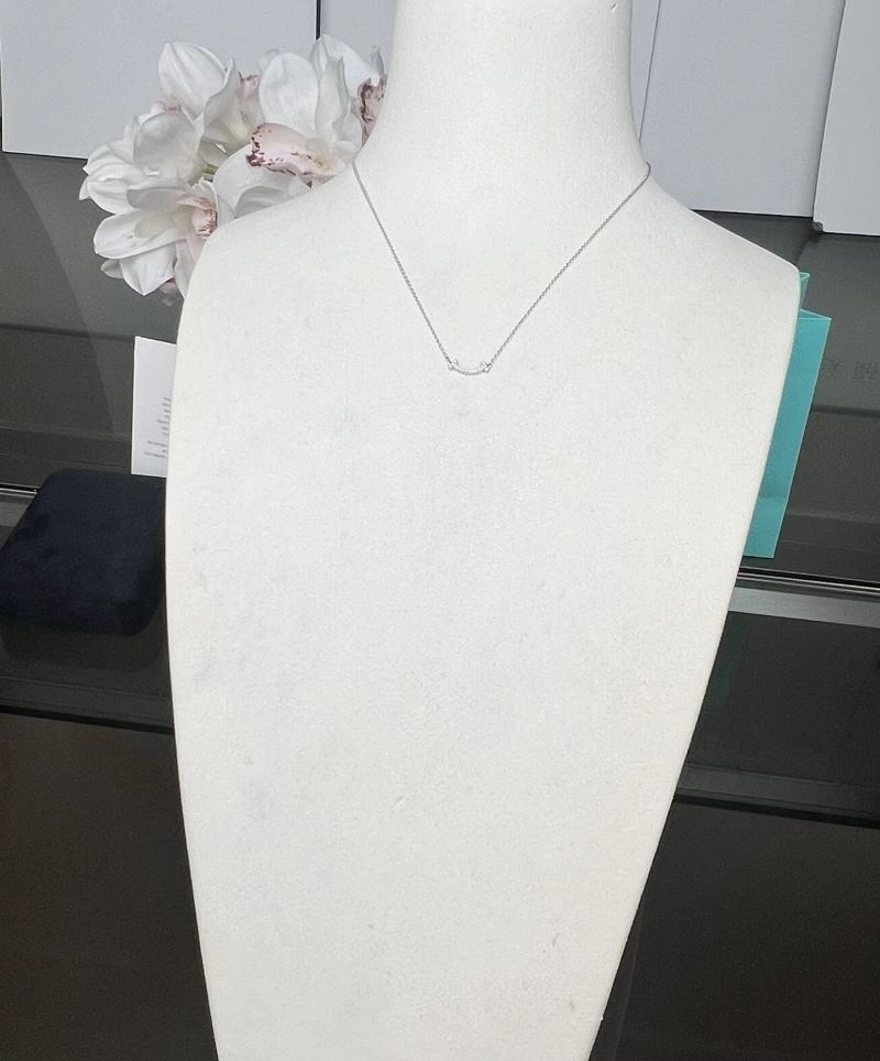 GoAnywhere Tiffany Necklaces 253710