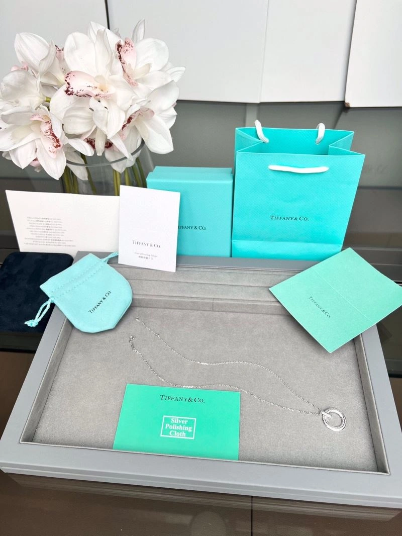 Tiffany Necklaces EyeCatching 253617