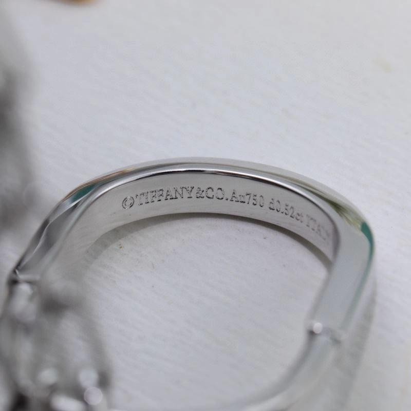 Tiffany Necklaces QuickDry 253520