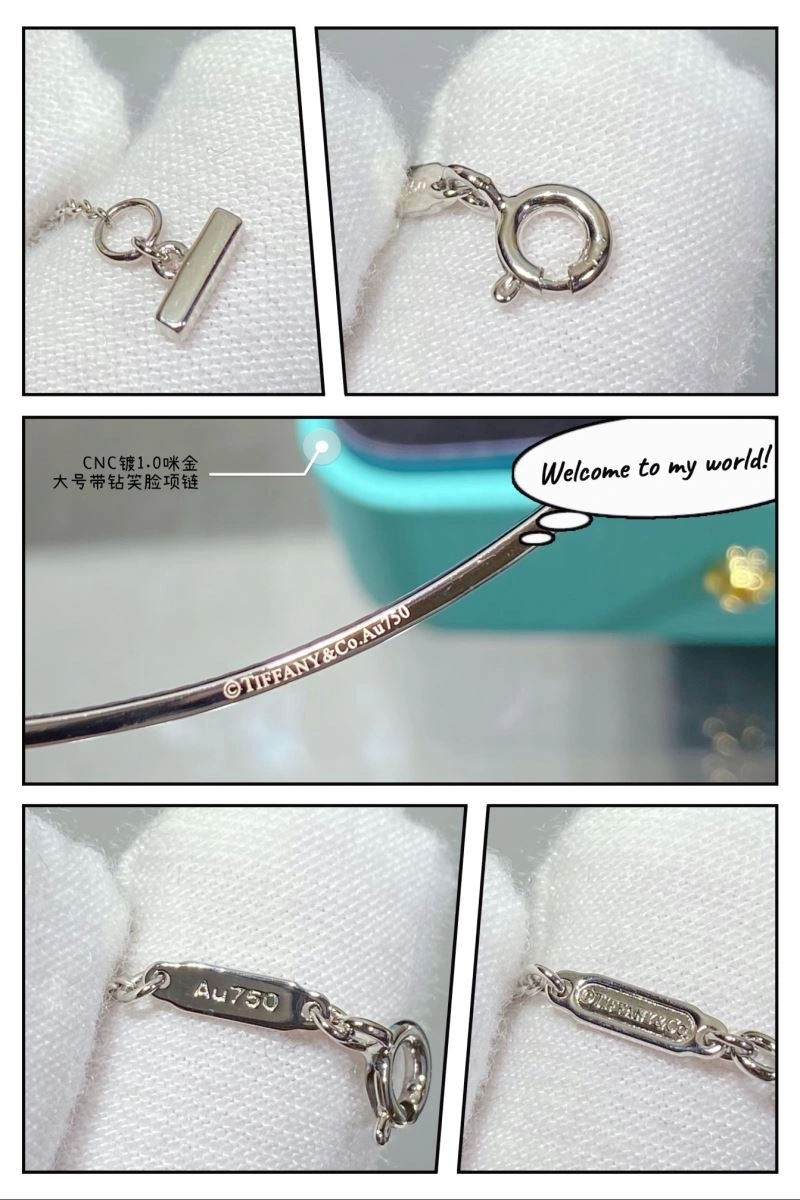 Tiffany Necklaces BestValue 253356