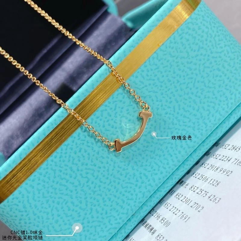 HighPerformance Tiffany Necklaces 253359