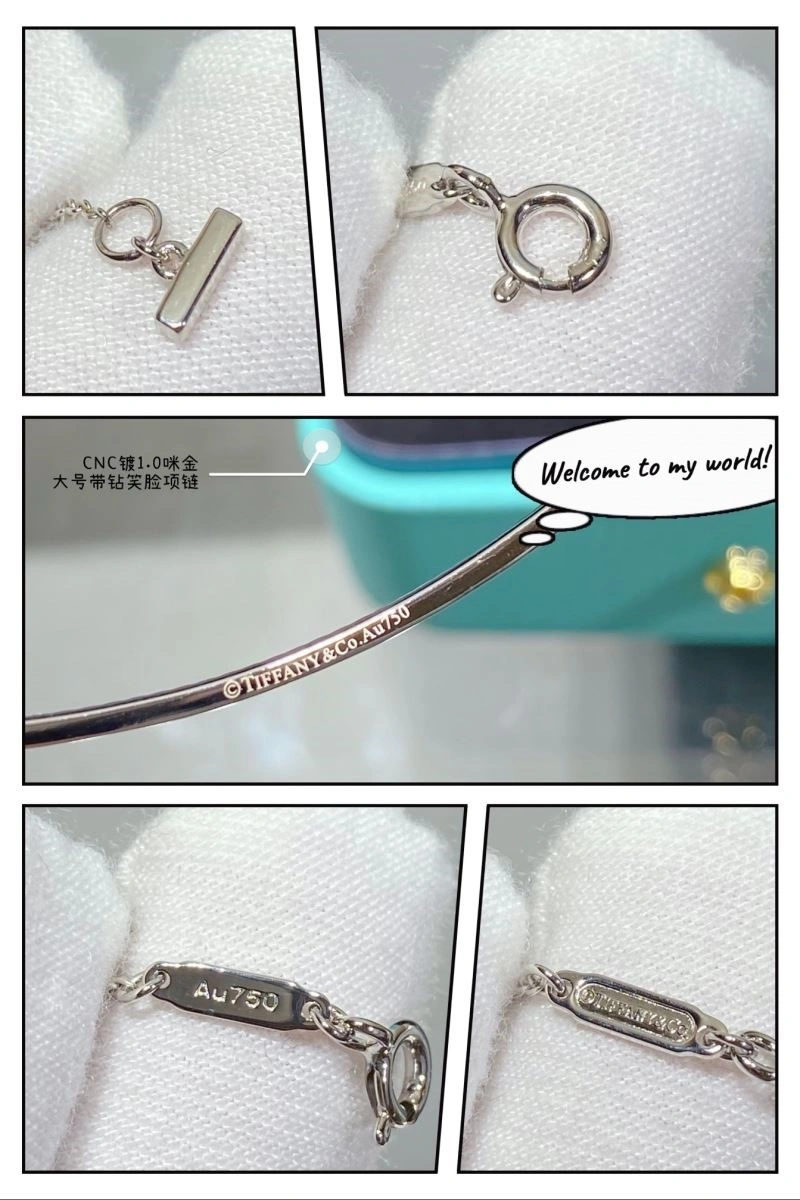 Tiffany Necklaces WrinkleFree 253075
