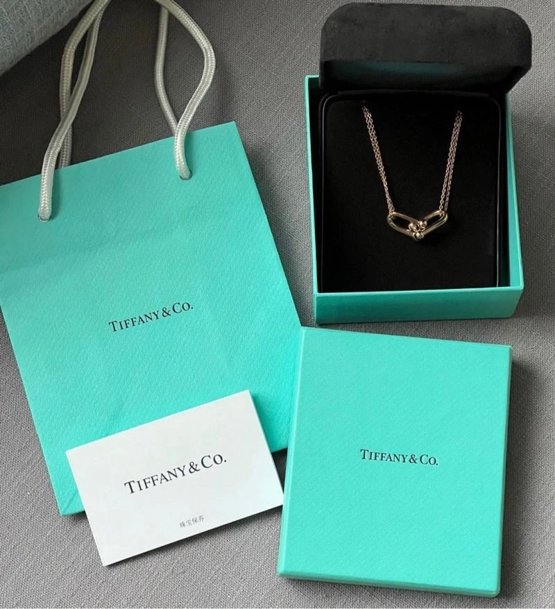 Elegant Tiffany Necklaces 253064