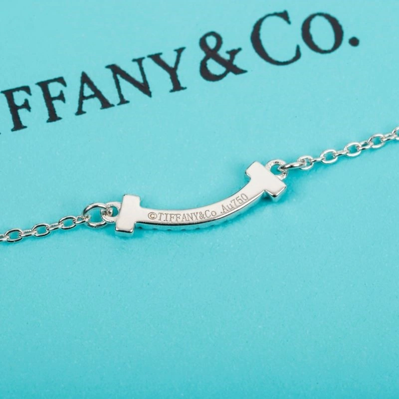 WaterResistant Tiffany Necklaces 253066