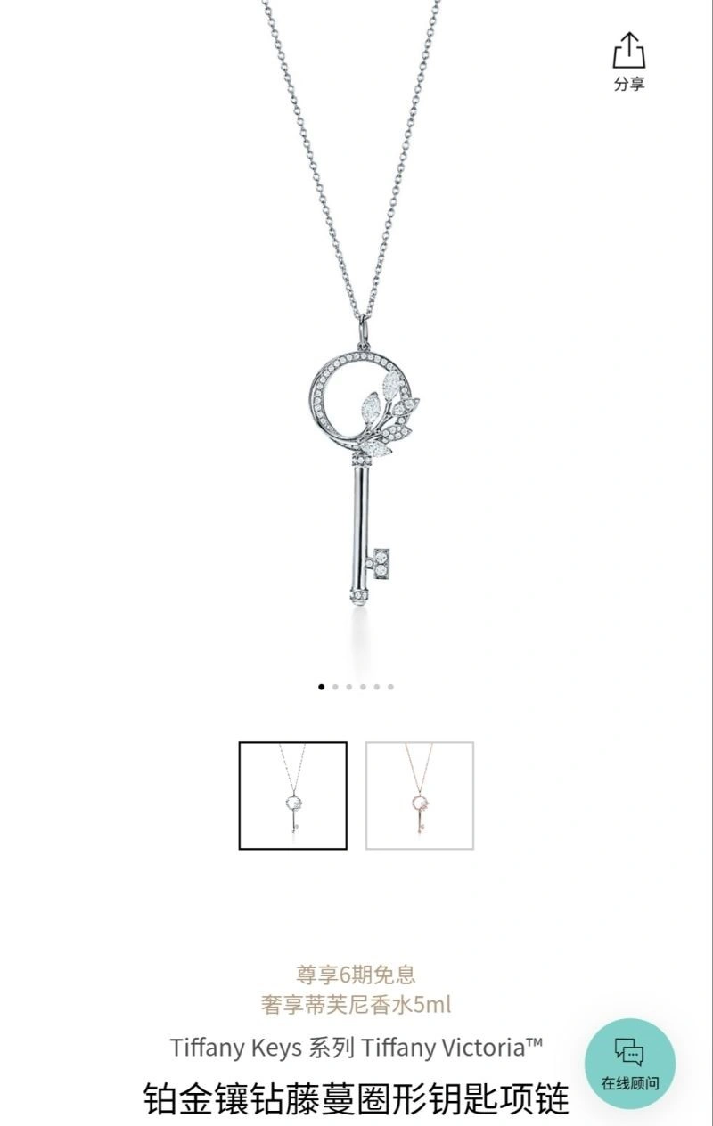 Tiffany Necklaces Fashionable 253014