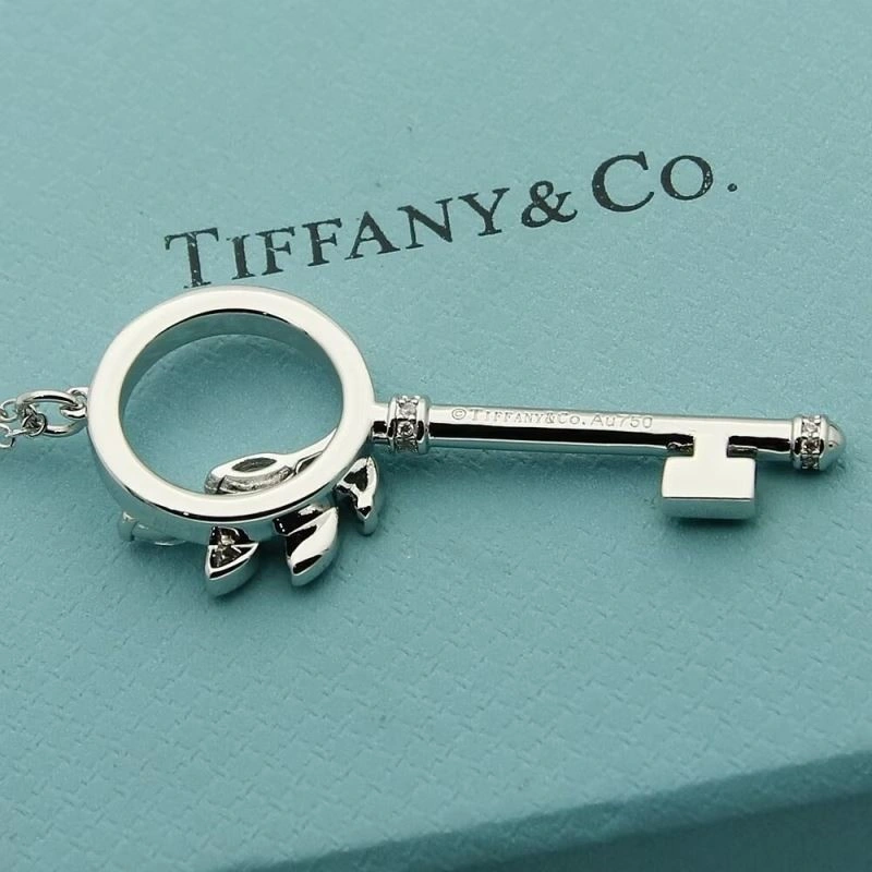 Tiffany Necklaces Fashionable 253014