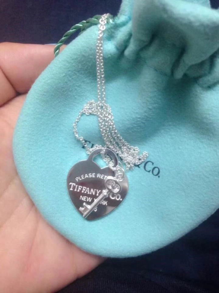 Minimalist Tiffany Necklaces 253029