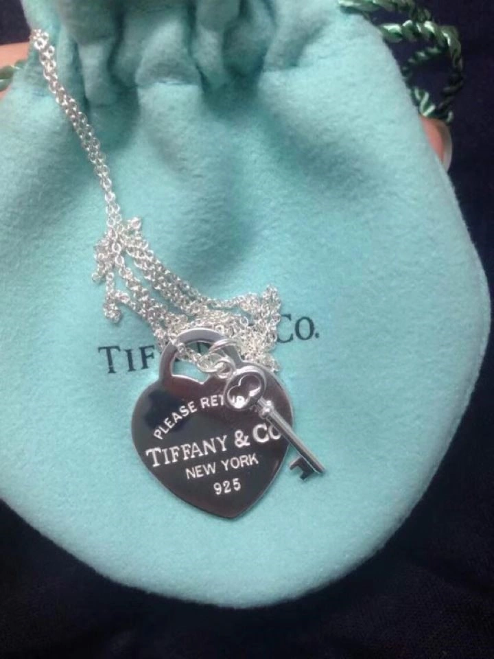 Minimalist Tiffany Necklaces 253029
