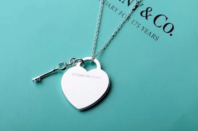 Minimalist Tiffany Necklaces 253029