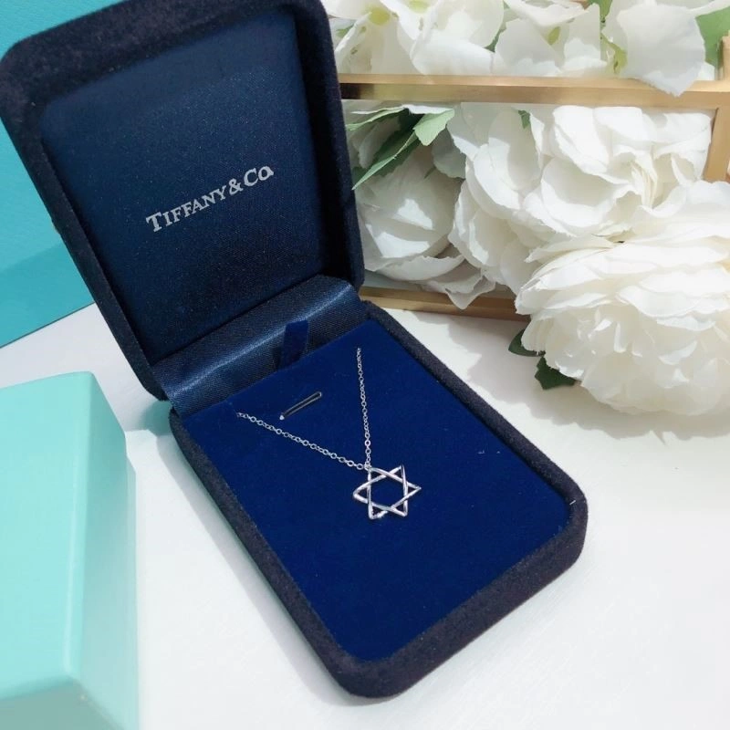 Tiffany Necklaces Durable 252989