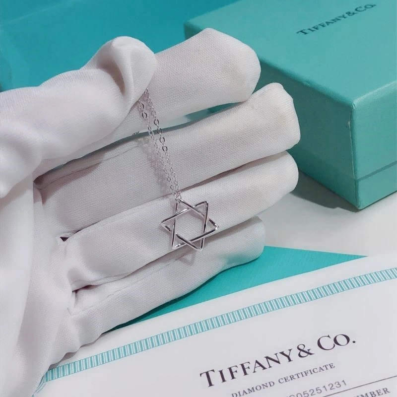 Tiffany Necklaces Durable 252989