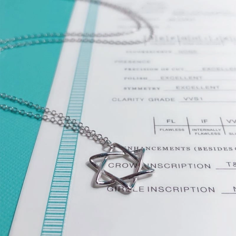 Tiffany Necklaces Durable 252989