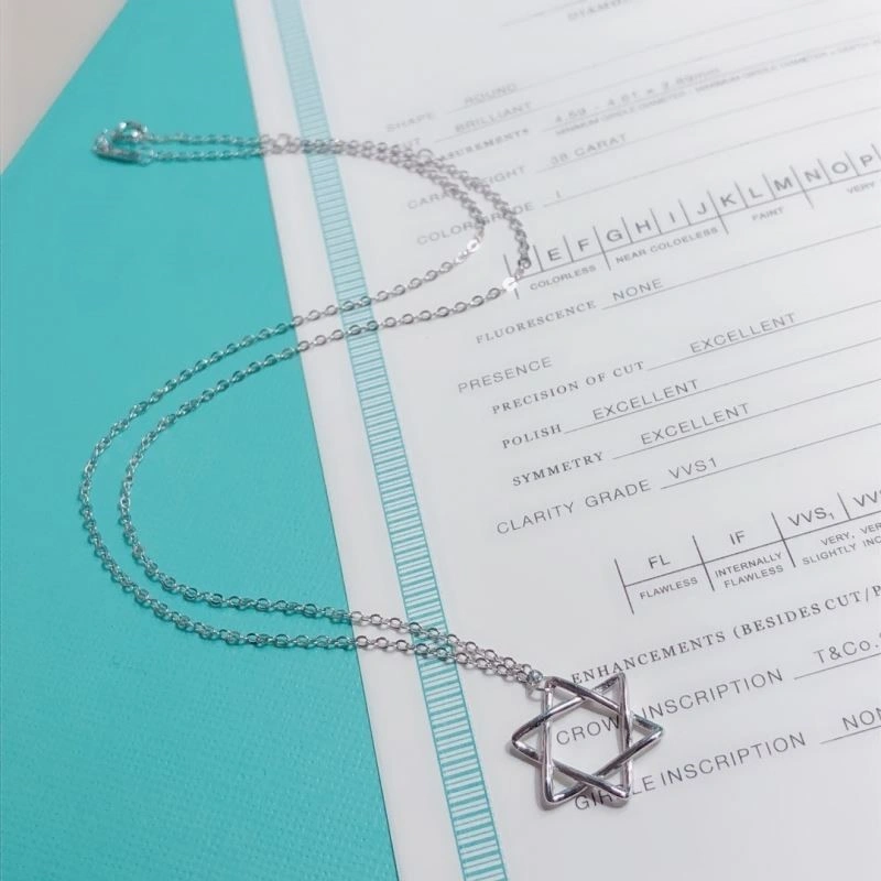 Tiffany Necklaces Durable 252989