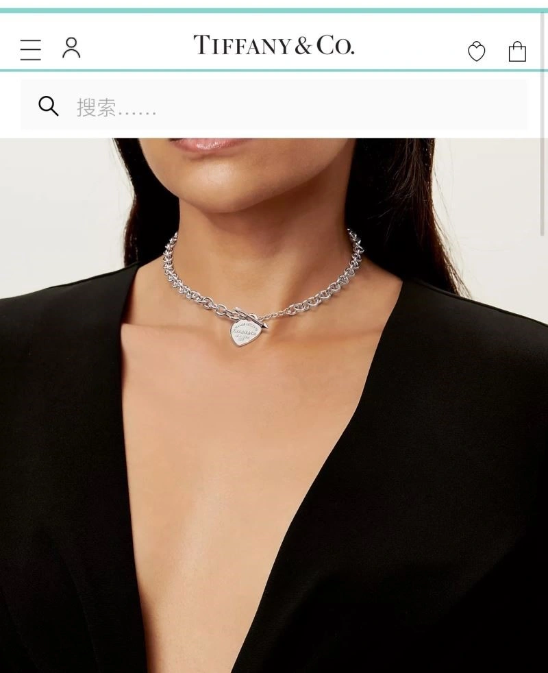 Tiffany Necklaces Flexible 252977