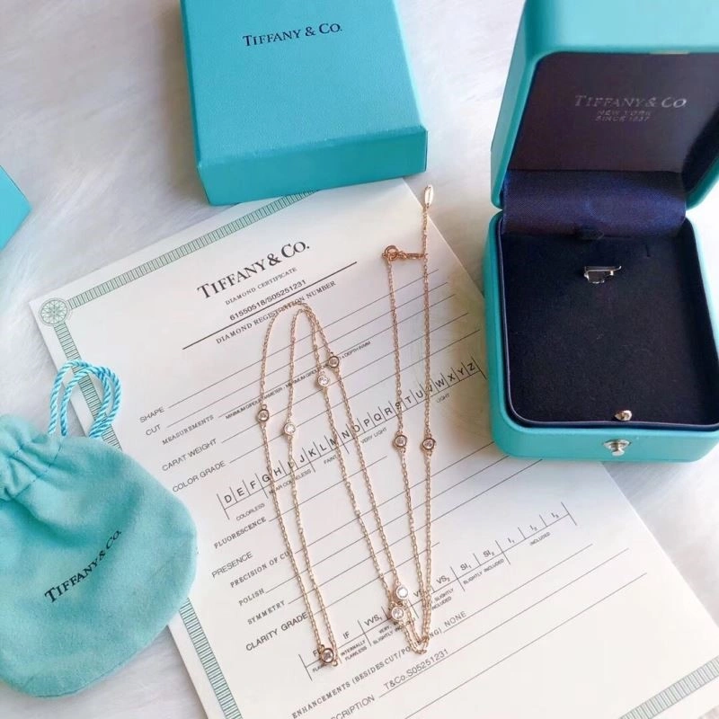 Tiffany Necklaces Sleek 252976