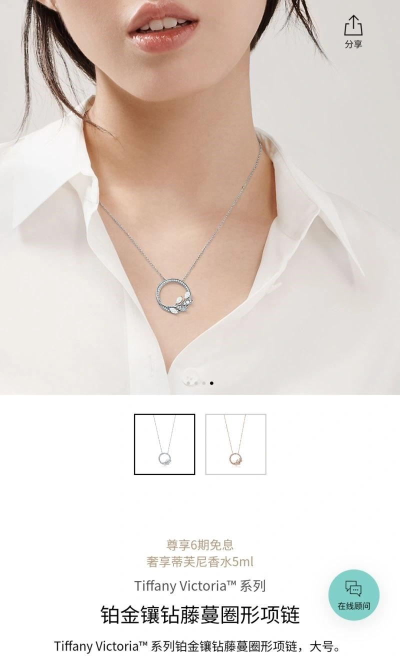 Tiffany Necklaces TechFriendly 252947