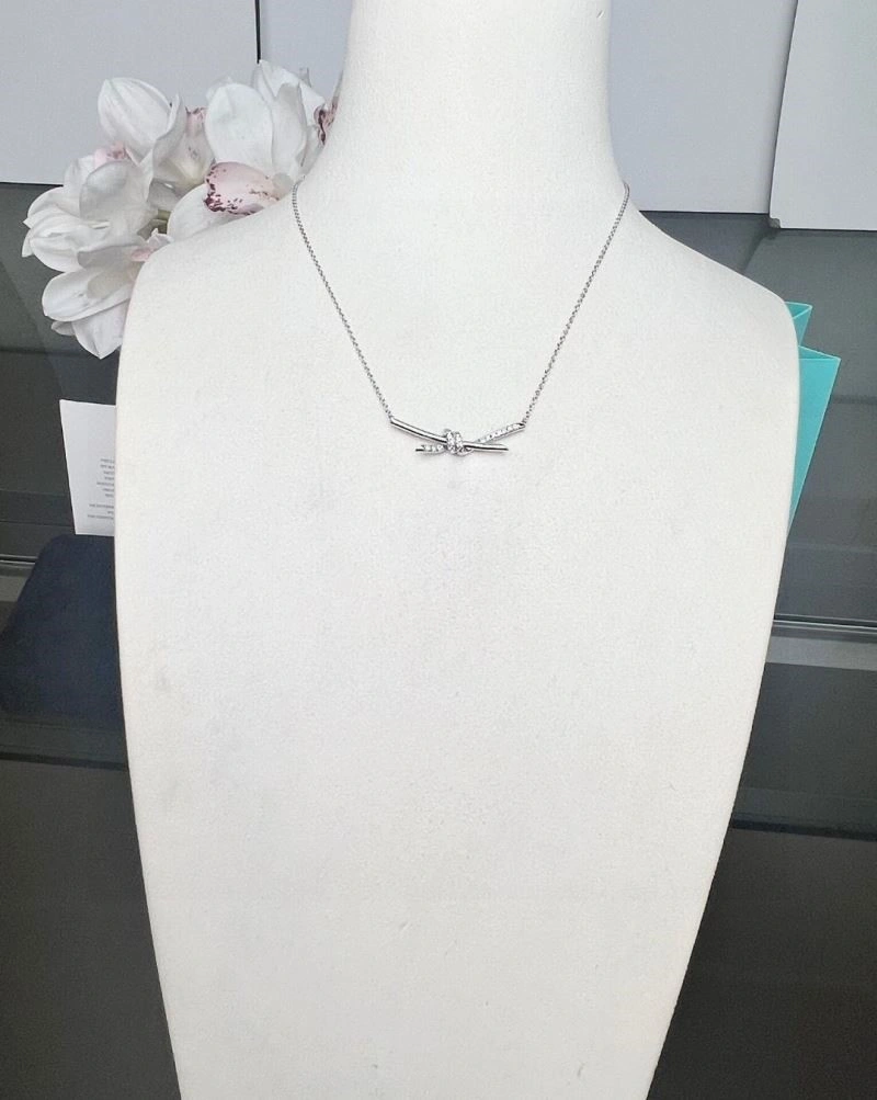 Minimalist Tiffany Necklaces 252920