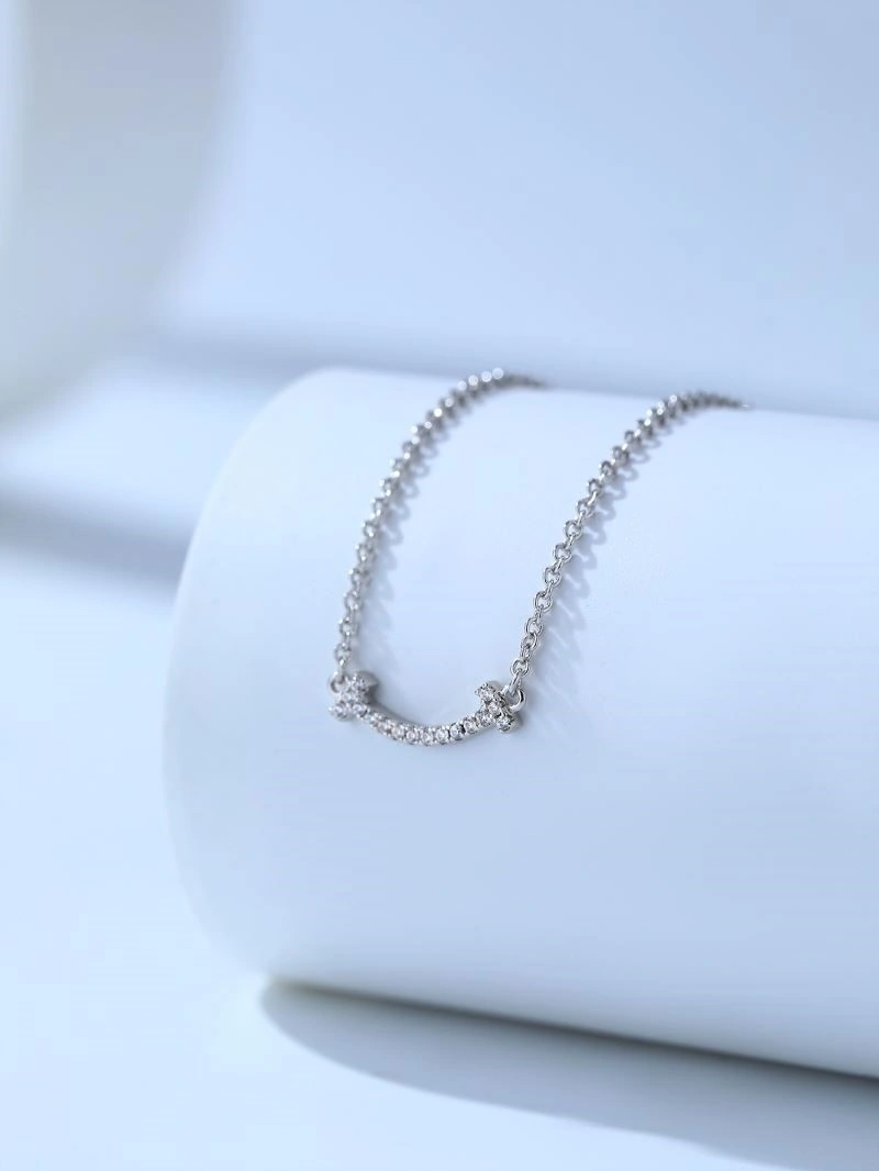 Tiffany Necklaces Fashionable 252582