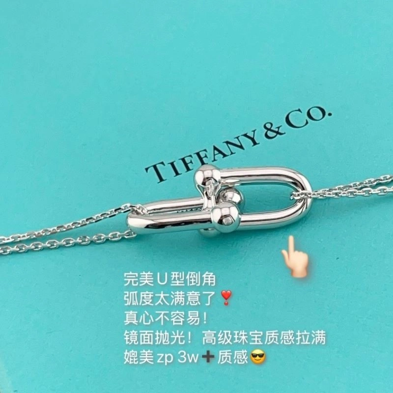 Tiffany Necklaces Functional 252583