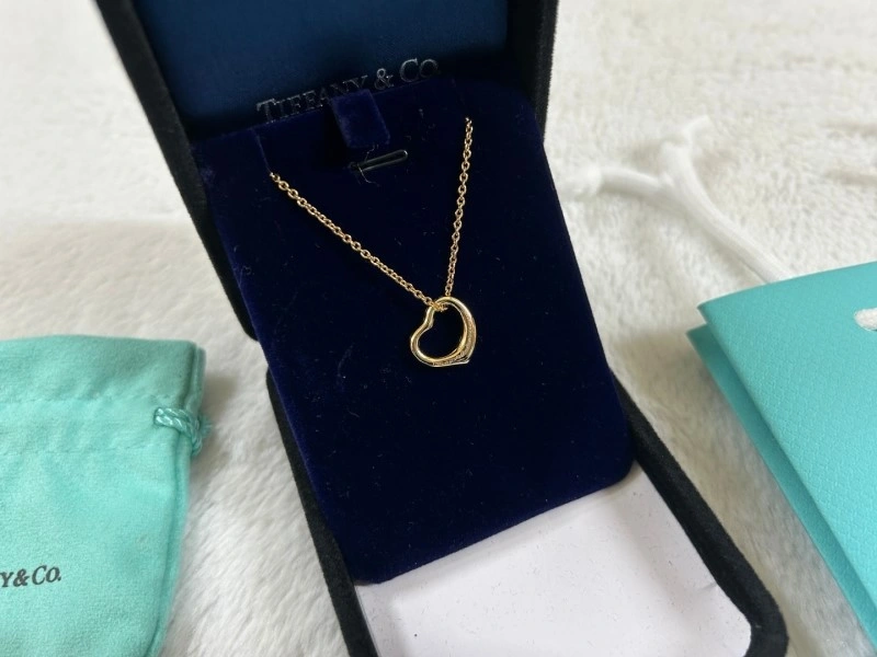 Tiffany Necklaces Resilient 252341
