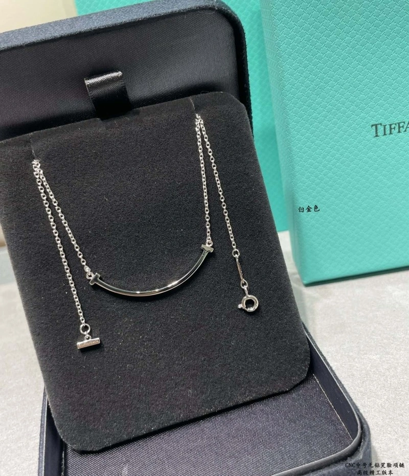 Tiffany Necklaces BestValue 252272