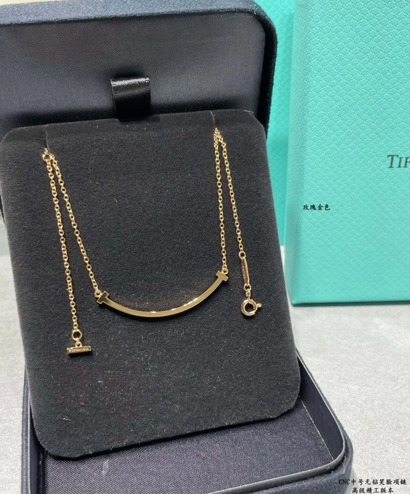 Tiffany Necklaces BestValue 252272