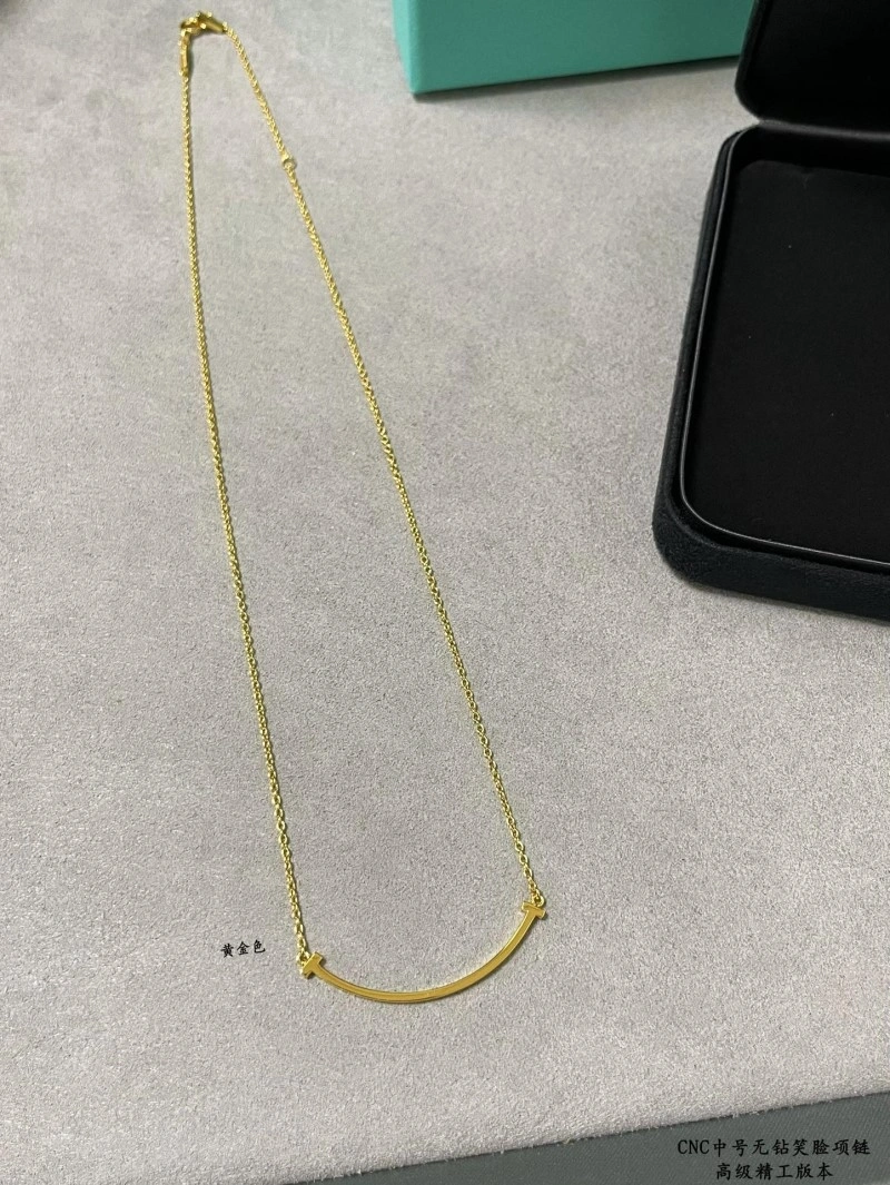 Tiffany Necklaces BestValue 252272