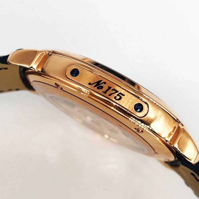 ULYSSE NARDIN Watches ZeroBulk 204230