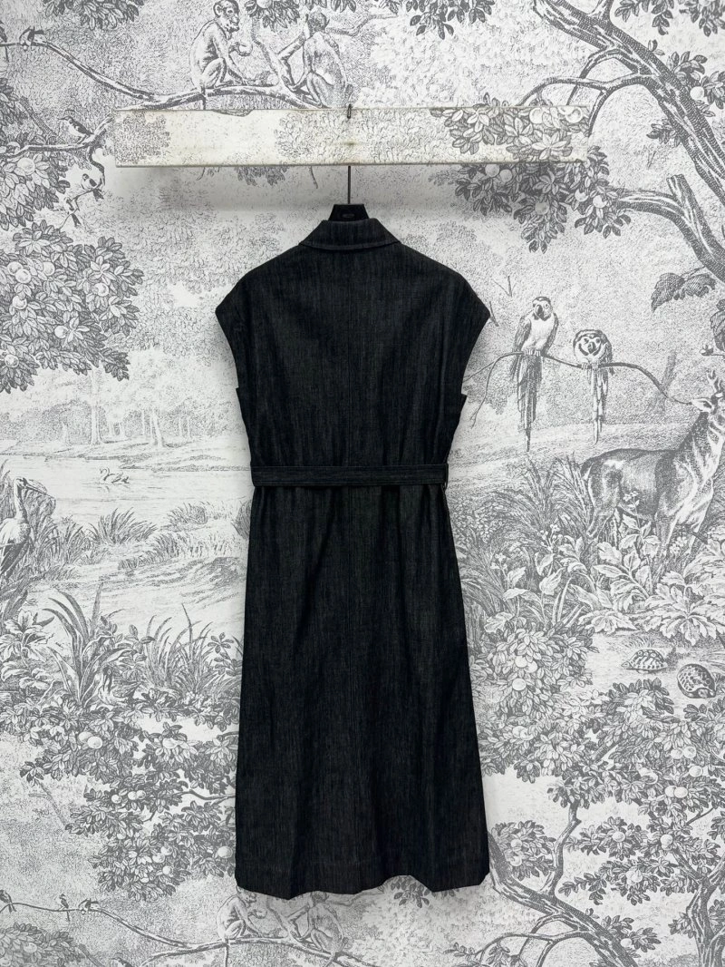 HighQuality Unclassified Brand Dress 147848